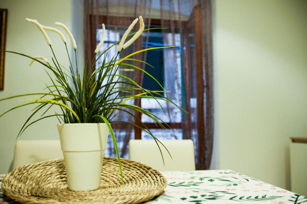 Apartman Flower Šibenik Kültér fotó